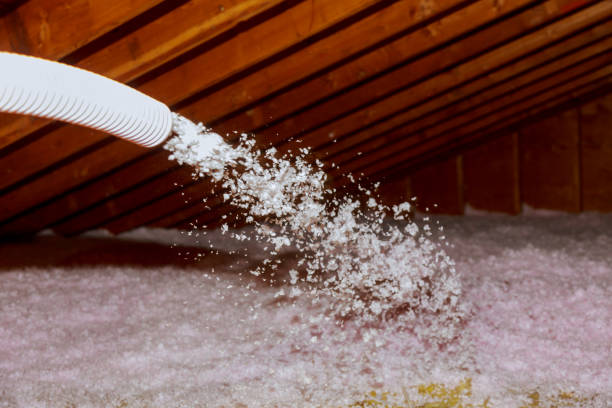 Best Insulation Maintenance and Repair in Harmony Grove, CA